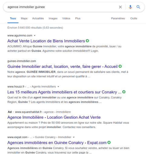 Exemple Résultat de recherche Google Guinée Digit Propulse